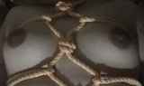 280995.jpg
(6KB)