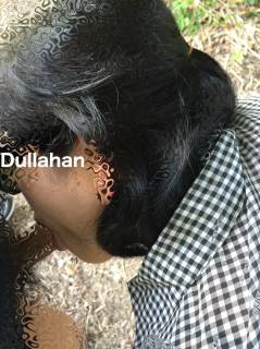 282901.jpg (488KB)