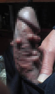 282938.jpg (59KB)