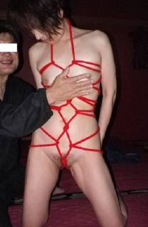 283650.jpg (30KB)