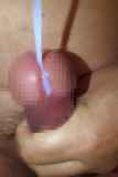 284626.jpg
(6KB)