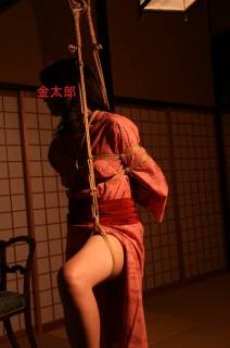 285321.jpg (162KB)