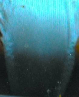 288069.jpg (135KB)