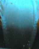 288069.jpg 
								(9KB)
