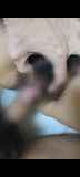 289626.jpg
(4KB)