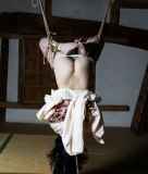 292081.jpg 
								(11KB)