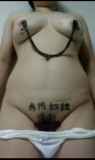 293519.jpg 
								(7KB)