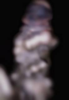 293567.jpg (125KB)