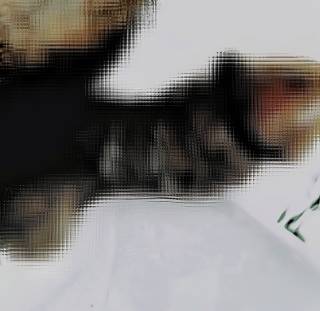 294006.jpg (331KB)