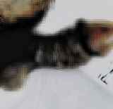 294006.jpg 
								(14KB)