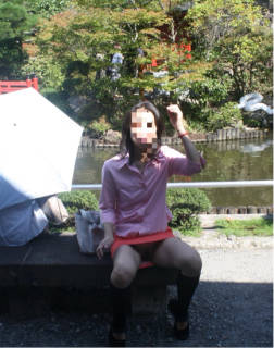 294069.jpg (353KB)