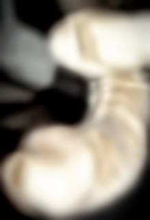 294404.jpg (45KB)