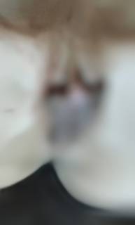 294657.jpg (36KB)