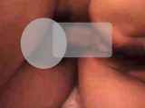295052.jpg 
								(5KB)
