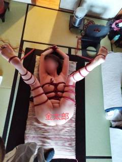 295061.jpg (152KB)