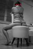 295526.jpg 
								(30KB)
