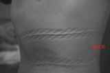 295533.jpg 
								(19KB)