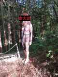 295828.jpg 
								(53KB)