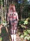 295829.jpg 
								(42KB)