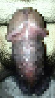 297019.jpg (81KB)