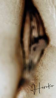 297031.jpg (111KB)
