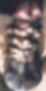 297330.jpg (95KB)