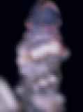 297414.jpg
(9KB)