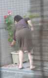 224132.jpg
(7KB)