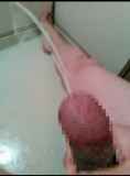 232290.jpg
(7KB)