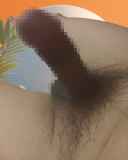 236141.jpg 
								(7KB)