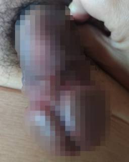 236853.jpg (45KB)
