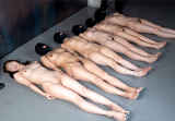 237392.jpg
(35KB)