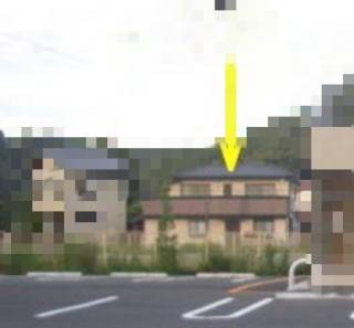238538.jpg (95KB)