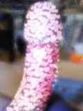 238658.jpg
(9KB)
