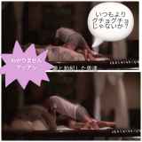 239135.jpg 
								(15KB)