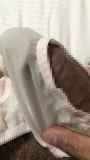 243511.jpg 
								(7KB)