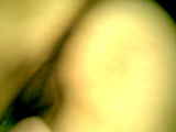 243605.jpg 
								(8KB)
