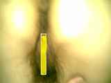 243639.jpg 
								(8KB)