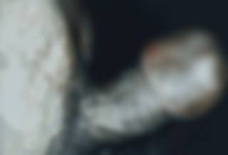 243668.jpg (89KB)