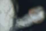 243668.jpg 
								(7KB)