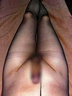 243974.jpg (95KB)