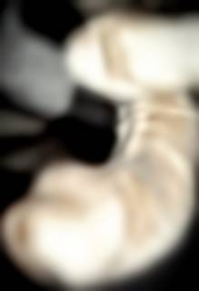 244012.jpg (61KB)
