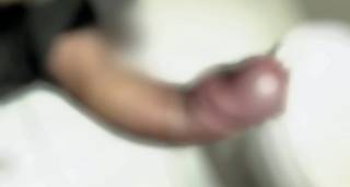 244206.jpg (28KB)