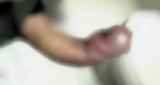 244206.jpg 
								(7KB)