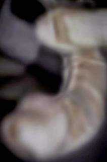 244407.jpg (62KB)