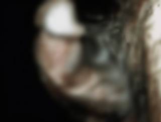 244446.jpg (45KB)