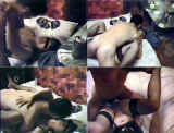 245974.jpg 
								(28KB)